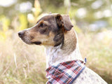 Redwood - Mutt Cloth Dog Bandana